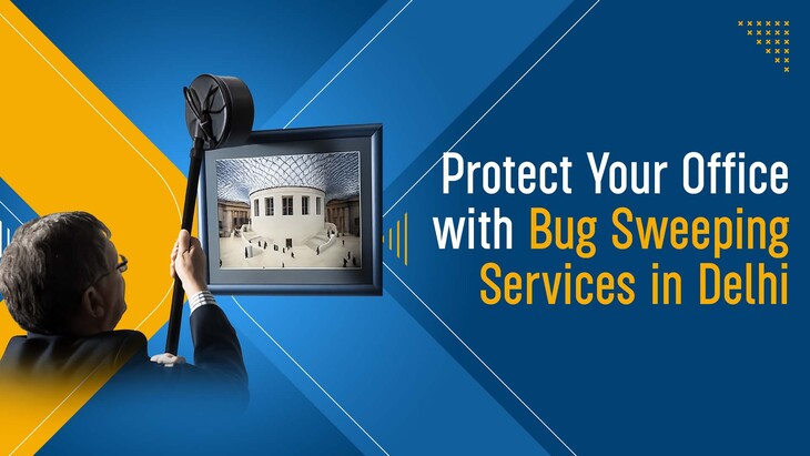Bug-Sweeping-Services